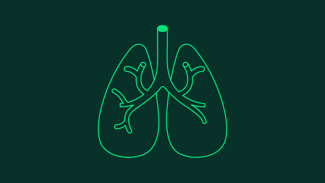 Lungs